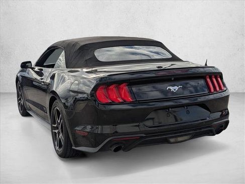 Used 2019 Ford Mustang EcoBoost w/ Equipment Group 101A image 6