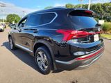 Used 2022 Hyundai Santa Fe SEL w/ Convenience + Premium Package image 5
