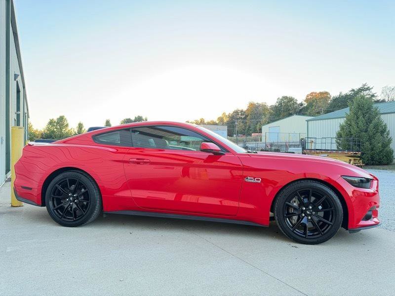 Used 2015 Ford Mustang GT Premium w/ 50 Years Appearance Package RWD image 4