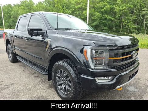 Used 2023 Ford F150 Tremor w/ Equipment Group 402A High AWD/4WD image 7