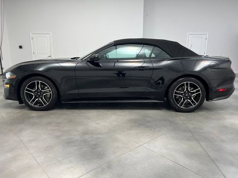 Used 2023 Ford Mustang Premium image 4