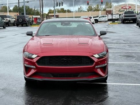 Certified 2023 Ford Mustang EcoBoost w/ Equipment Group 101A image 8