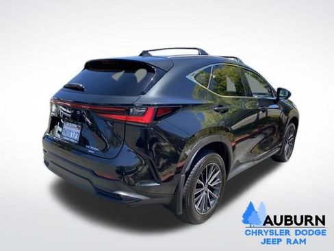 Used 2025 Lexus NX 350h AWD w/ Cold Area Package image 7