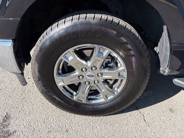Used 2023 Ford F150 XLT w/ Equipment Group 302A High AWD/4WD image 6