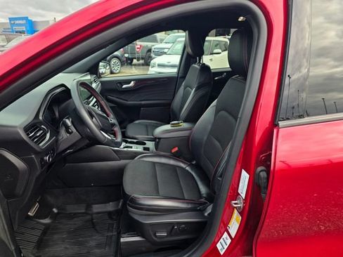 Used 2024 Ford Escape ST-Line w/ Tech Pack #1 AWD/4WD image 15