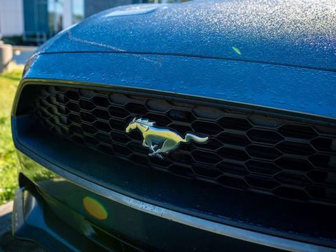 Used 2018 Ford Mustang EcoBoost w/ Equipment Group 101A image 13