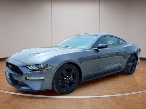 Used 2023 Ford Mustang Premium w/ Mustang Nite Pony Package RWD image 3
