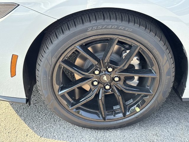 New 2026 Ford Mustang Premium w/ Mustang Nite Pony Package RWD image 10