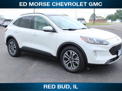 Used 2020 Ford Escape SEL FWD image 1