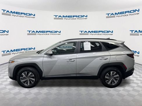 Used 2024 Hyundai Tucson Blue AWD/4WD image 2