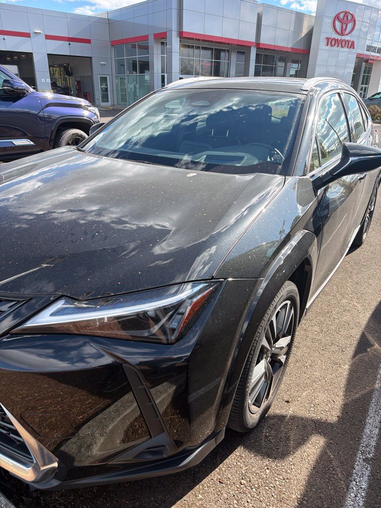 Used 2025 Lexus UX 300h AWD w/ Cold Area Package image 7