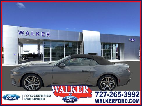 Certified 2024 Ford Mustang Premium image 1