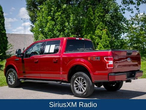 Used 2019 Ford F150 XLT w/ Equipment Group 302A Luxury AWD/4WD image 8