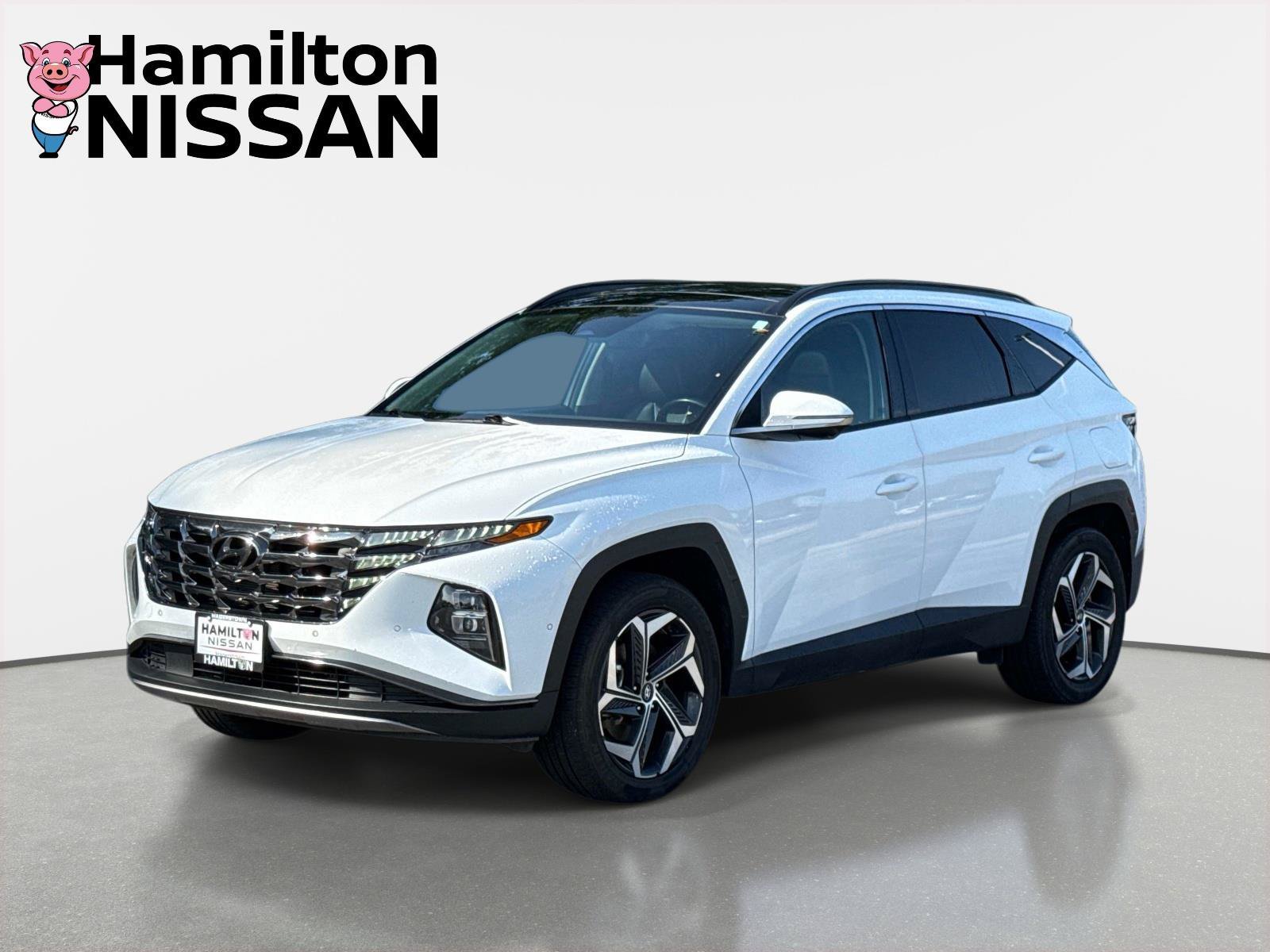 Used 2024 Hyundai Tucson Limited AWD/4WD image 5