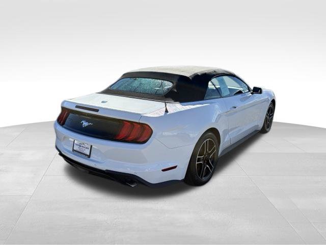 Used 2022 Ford Mustang Premium RWD image 2