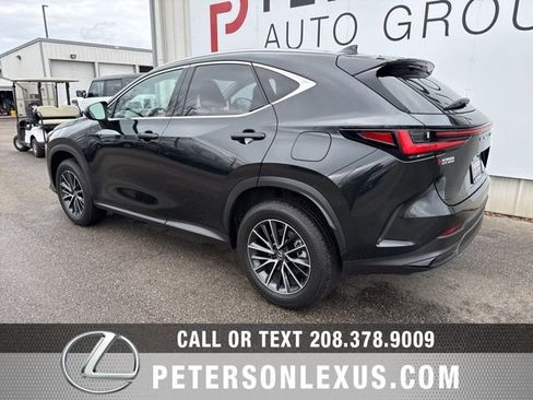 Certified 2024 Lexus NX 350h AWD w/ Cold Area Package image 5