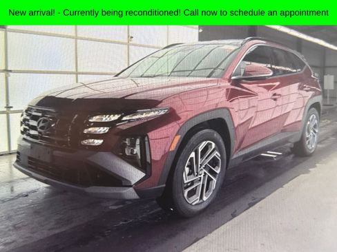 Used 2025 Hyundai Tucson Limited image 1