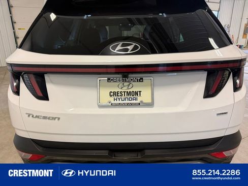 Used 2023 Hyundai Tucson Limited AWD/4WD image 13