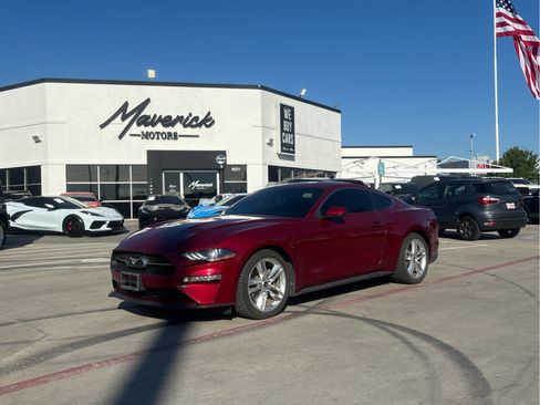 Used 2019 Ford Mustang Premium w/ Equipment Group 201A RWD image 1