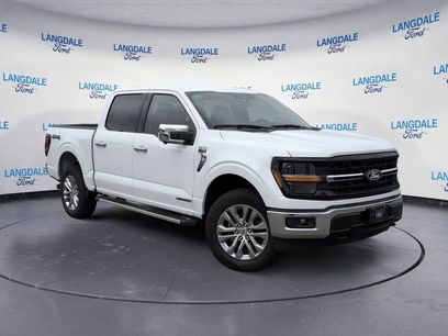 New 2025 Ford F150 XLT w/ Equipment Group 303A High