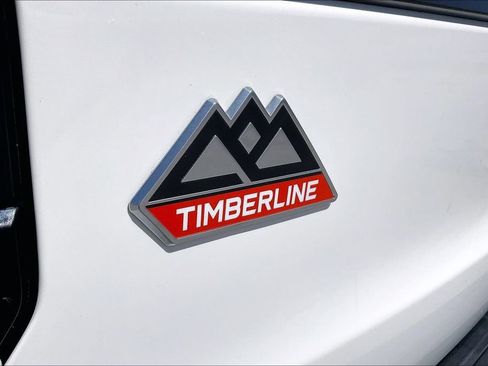 Used 2022 Ford Expedition Timberline AWD/4WD image 21