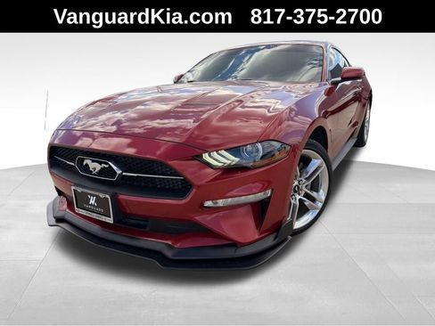 Used 2020 Ford Mustang Premium w/ Equipment Group 201A image 1