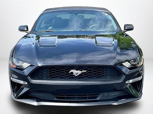 Used 2018 Ford Mustang Premium w/ Equipment Group 201A RWD image 3