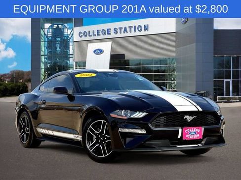 Used 2022 Ford Mustang Premium w/ Equipment Group 201A image 1