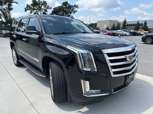 Used 2019 Cadillac Escalade Luxury AWD/4WD image 7