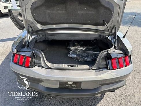 New 2026 Ford Mustang Premium w/ Mustang Nite Pony Package image 12