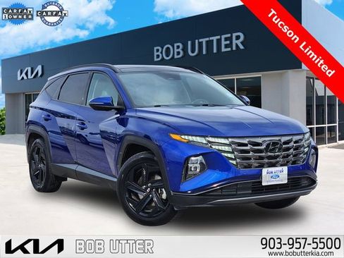 Used 2022 Hyundai Tucson Limited image 1