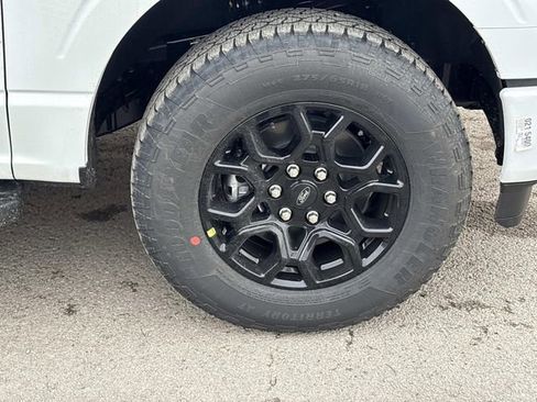 New 2026 Ford F150 XLT w/ Equipment Group 302A MID image 9