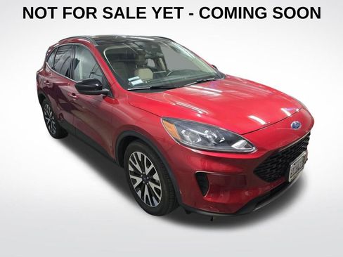 Used 2020 Ford Escape SE Sport image 1