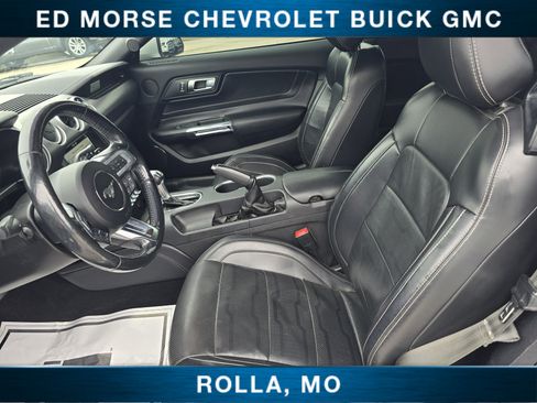 Used 2019 Ford Mustang GT Premium w/ Equipment Group 401A image 14