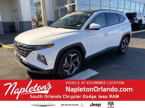 Used 2024 Hyundai Tucson Limited image 1