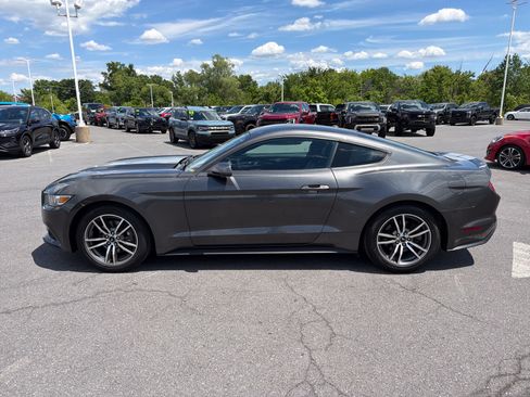 Used 2017 Ford Mustang Premium w/ Equipment Group 201A RWD image 7