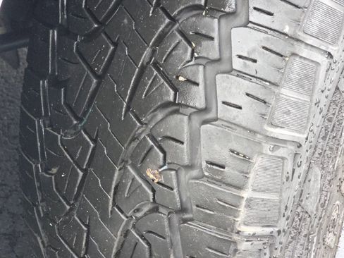 Used 2025 Ford Expedition Active image 14