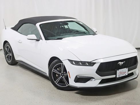 Used 2024 Ford Mustang Premium RWD image 2