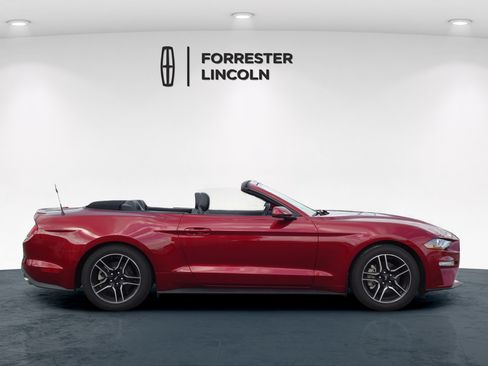 Used 2019 Ford Mustang Premium w/ Equipment Group 201A RWD image 2