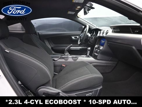 Used 2019 Ford Mustang Coupe w/ Equipment Group 101A RWD image 13
