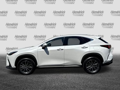 Used 2024 Lexus NX 350h AWD image 8