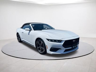 Used 2024 Ford Mustang Premium