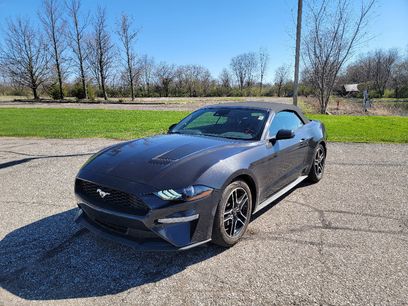 Used 2023 Ford Mustang Premium