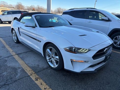 Used 2020 Ford Mustang Premium w/ Equipment Group 201A image 1