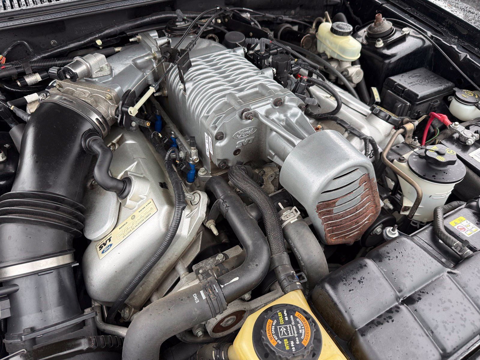 Used 2004 Ford Mustang Cobra RWD image 27