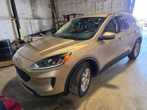 Used 2021 Ford Escape SE w/ Convenience Package AWD/4WD image 1