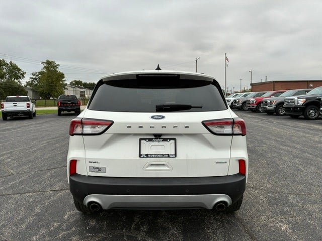 Used 2020 Ford Escape SEL FWD image 4