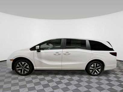 New 2026 Honda Odyssey EX-L