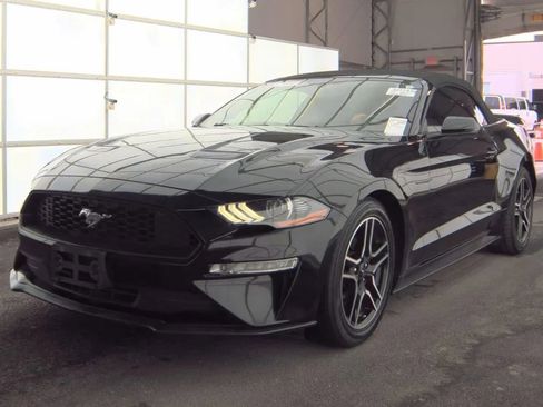 Used 2019 Ford Mustang Premium RWD image 42
