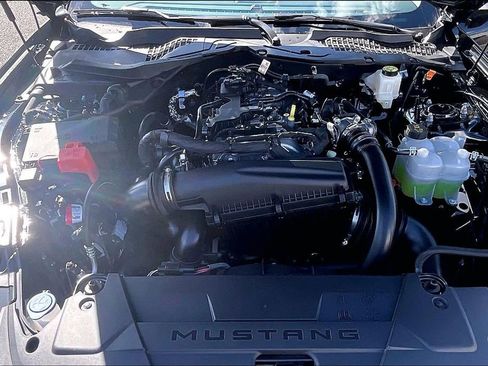 New 2025 Ford Mustang Premium image 11